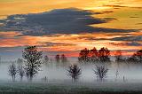 Misty Sunrise_09904